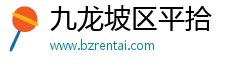 九龙坡区平拾